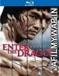 Enter The Dragon (1973) Hindi Dubbed Movie