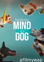 Inside The Mind of A Dog (2024) ORG Hindi Dubbed Movie