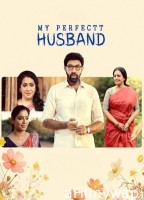 My Perfectt Husband (2024) Season 1 Hindi Web Series