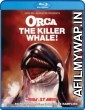 Orca The Killer Whale (1977) Hindi Dubbed Movies